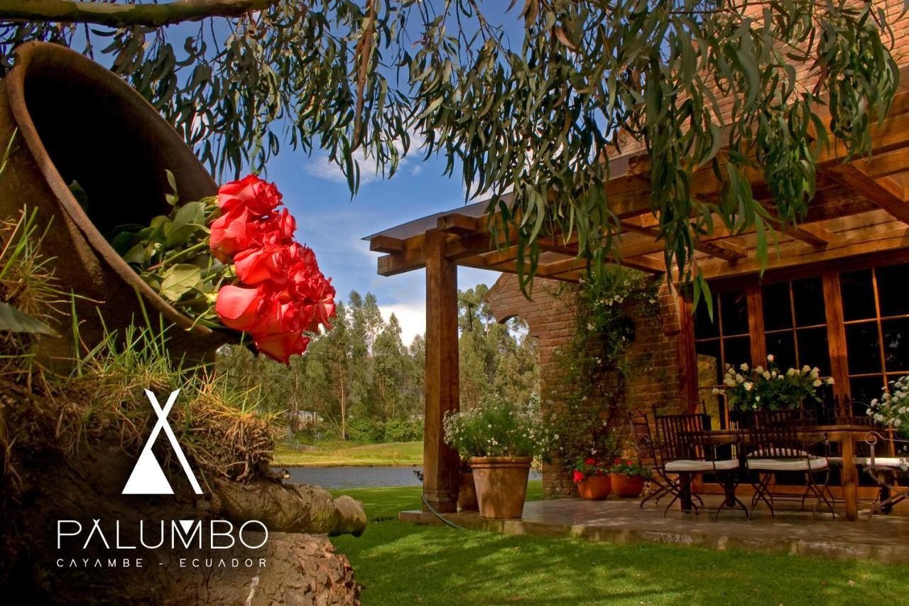 Palumbo Glamping & Villas Cayambe Εξωτερικό φωτογραφία