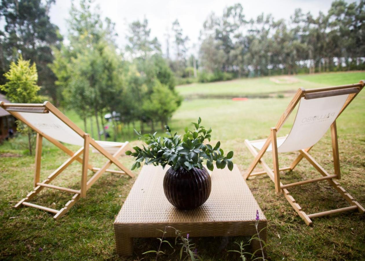 Palumbo Glamping & Villas Cayambe Εξωτερικό φωτογραφία